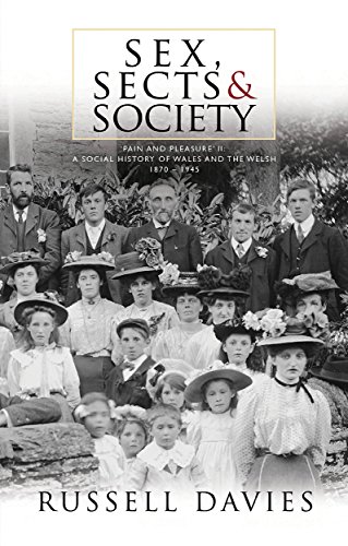 Stock image for Sex, Sects and Society: Pain and Pleasure' - a Social History of Wales and the Welsh, 1870-1945 for sale by Revaluation Books