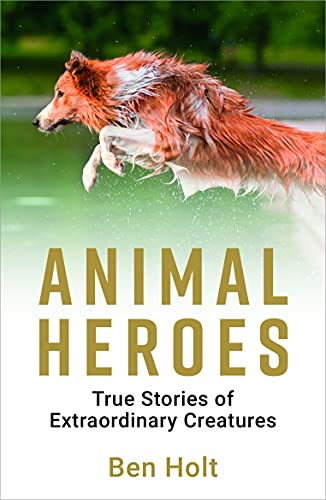 Beispielbild fr Animal Heroes: True Stories of Extraordinary Creatures zum Verkauf von WorldofBooks