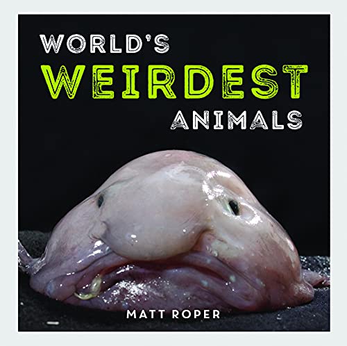 Stock image for World's Weirdest Animals for sale by Better World Books