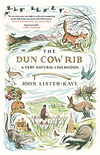 Stock image for The Dun Cow Rib: A Very Natural Childhood for sale by AwesomeBooks