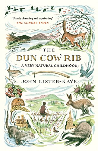 Stock image for The Dun Cow Rib: A Very Natural Childhood for sale by WorldofBooks