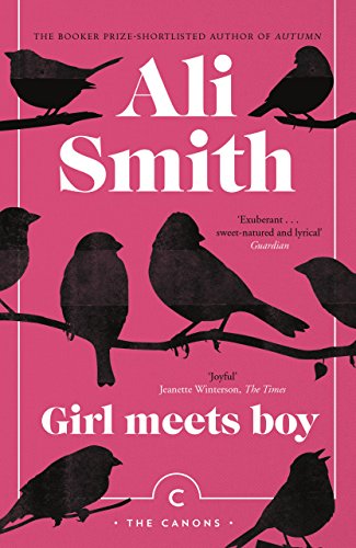 Stock image for Girl Meets Boy: Ali Smith (Canons) for sale by WorldofBooks