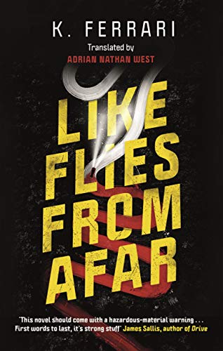 Beispielbild fr Like Flies from Afar zum Verkauf von AwesomeBooks