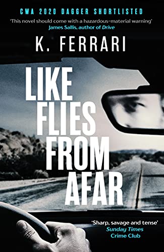 Beispielbild fr Like Flies from Afar zum Verkauf von AwesomeBooks