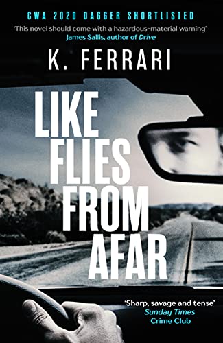 Stock image for Like Flies from Afar for sale by AwesomeBooks
