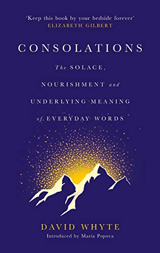 Imagen de archivo de Consolations: The Solace, Nourishment and Underlying Meaning of Everyday Words a la venta por AwesomeBooks