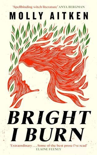 Imagen de archivo de Bright I Burn a la venta por Kennys Bookshop and Art Galleries Ltd.