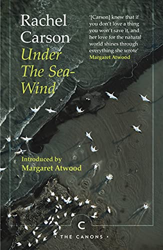 Beispielbild fr Under the Sea-Wind: Rachel Carson (Canons) zum Verkauf von WorldofBooks
