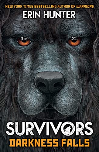 9781787006669: Survivors Book 3: Darkness Falls