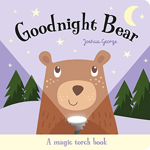 Stock image for Goodnight Bear (Magic Torch Books) for sale by Goldstone Books