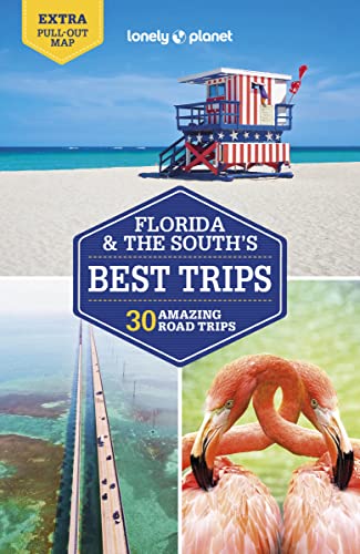 Stock image for Lonely Planet Florida & the South's Best Trips for sale by THE SAINT BOOKSTORE