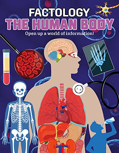Stock image for The Human Body: Open Up a World of Information! (Factology Books) for sale by WorldofBooks