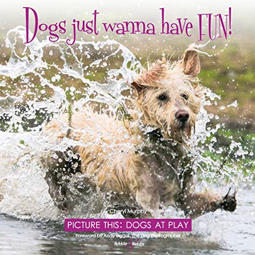 Stock image for Dogs just wanna have FUN! - Picture this: Dogs at Play for sale by Bestsellersuk