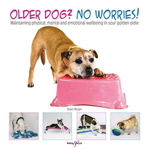 9781787113664: Older Dog? No Worries!: Maintaining Physical, Mental and Emotional Well-Being in Your Golden Oldie