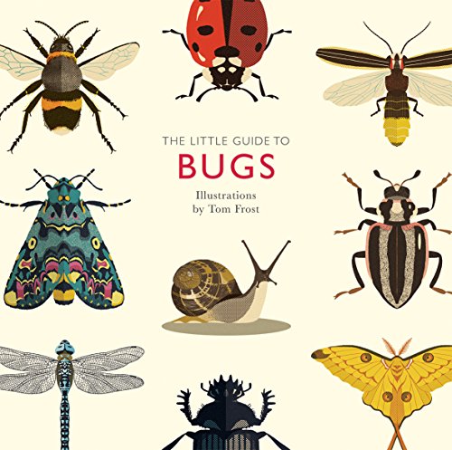 Stock image for The Little Guide to Bugs for sale by BookShop4U