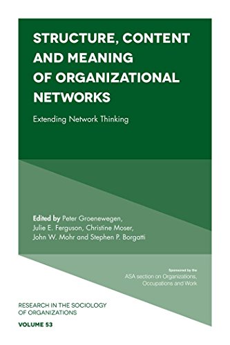 9781787144347: Structure, Content and Meaning of Organizational Networks: Extending Network Thinking