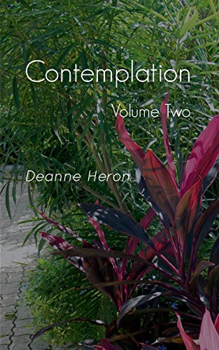 Stock image for Contemplation Volume Two for sale by PBShop.store US
