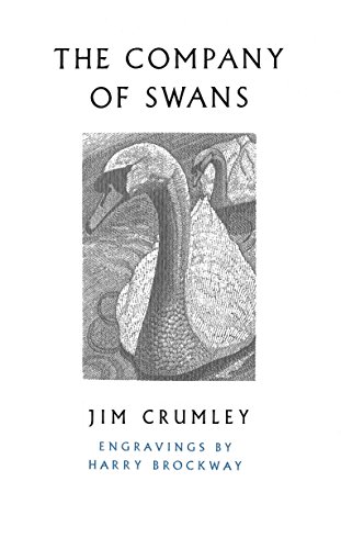 Stock image for The Company of Swans for sale by Blackwell's