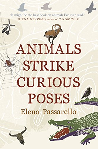 Stock image for Animals Strike Curious Poses: essays for sale by WorldofBooks