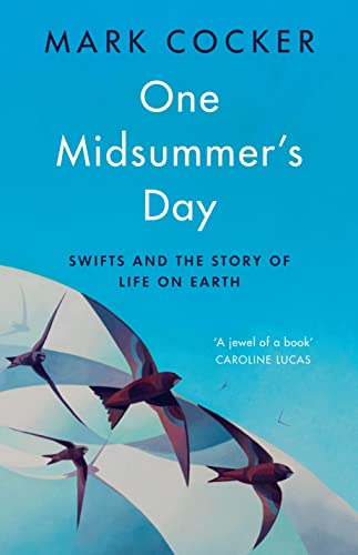 Beispielbild fr One Midsummer's Day: Swifts and the Story of Life on Earth zum Verkauf von WorldofBooks