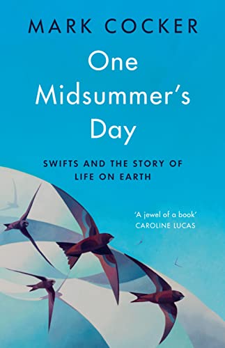 Stock image for One Midsummer's Day: Swifts and the Story of Life on Earth for sale by WorldofBooks