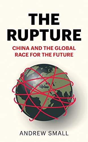 Beispielbild fr The Rupture : China and the Global Race for the Future zum Verkauf von AHA-BUCH GmbH