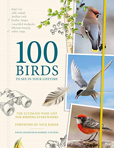 Beispielbild fr 100 Birds to See in Your Lifetime : The Ultimate Wish-List for Birders Everywhere zum Verkauf von Better World Books