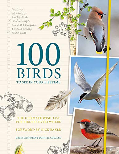 Stock image for 100 Birds to See in Your Lifetime: The Ultimate Wish-List for Birders Everywhere for sale by SecondSale