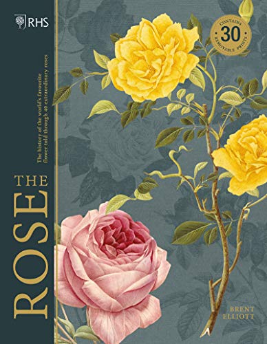 9781787394087: The Rose: The History of the World's Favourite Flower Told Through 40 Extraordinary Roses: The history of the world's favourite flower in 40 roses