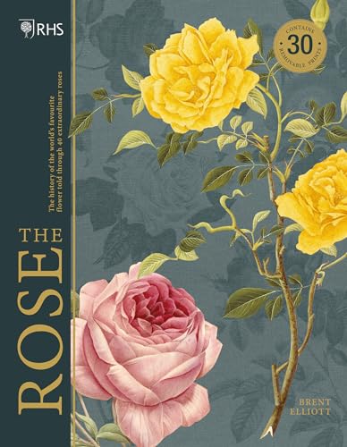 9781787394087: The Rose: The History of the World's Favourite Flower Told Through 40 Extraordinary Roses