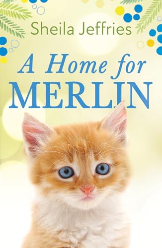 9781787395756: A Home for Merlin