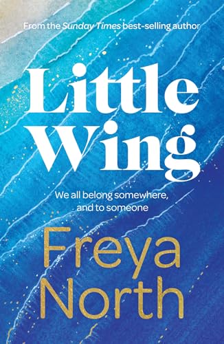 Beispielbild fr Little Wing: A beautifully written, emotional and heartwarming story zum Verkauf von WorldofBooks