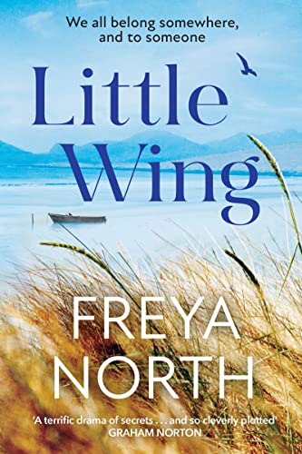Beispielbild fr Little Wing: A beautifully written, emotional and heartwarming story zum Verkauf von WorldofBooks