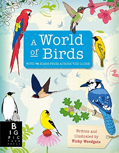 Stock image for World Of Birds for sale by HPB-Blue