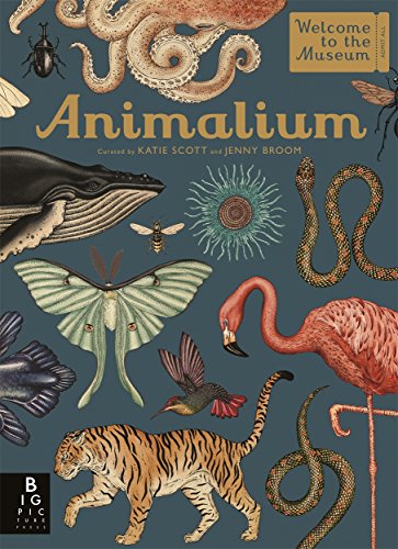 Beispielbild fr Animalium (Welcome To The Museum) zum Verkauf von Chiron Media