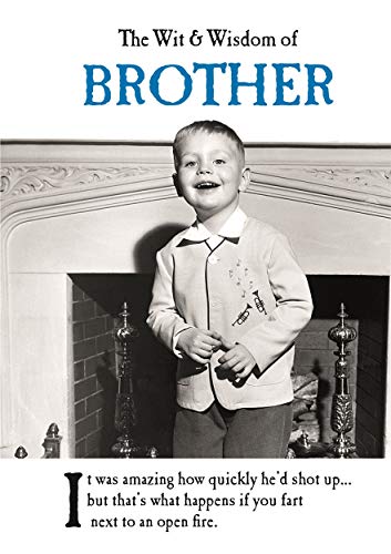 Stock image for The Wit and Wisdom of Brother: from the BESTSELLING Greetings Cards Emotional Rescue for sale by WorldofBooks
