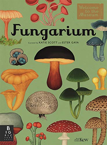 Stock image for Fungarium for sale by Blackwell's