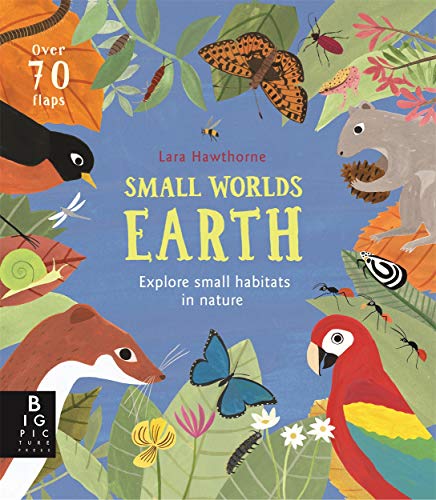 Beispielbild fr Small Worlds: Earth zum Verkauf von AwesomeBooks