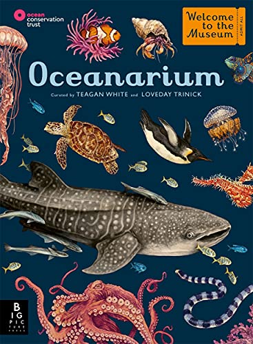 Imagen de archivo de Oceanarium a la venta por WorldofBooks