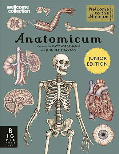 9781787416543: Anatomicum Junior