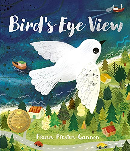Imagen de archivo de A Bird's Eye View a la venta por WorldofBooks