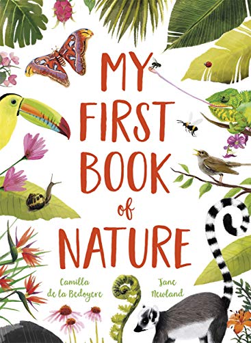 9781787417144: My First Book of Nature: With 4 sections and wipe-clean spotting cards