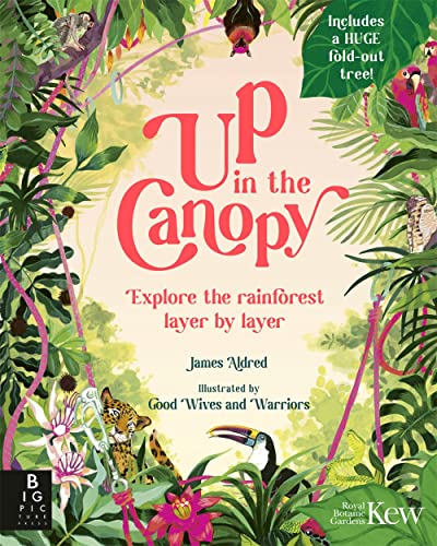 9781787419087: Up in the Canopy: Explore the Rainforest, Layer by Layer