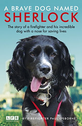 Beispielbild fr A Brave Dog Named Sherlock zum Verkauf von WorldofBooks