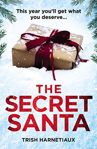 Stock image for The Secret Santa: This year, you  ll get what you deserve  for sale by WorldofBooks