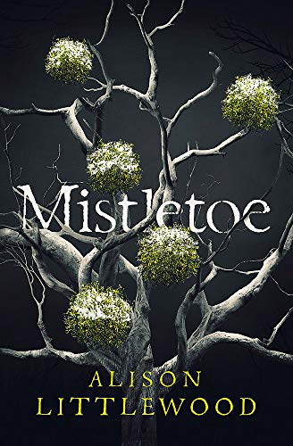 Beispielbild fr Mistletoe: 'The perfect read for frosty nights' HEAT zum Verkauf von WorldofBooks