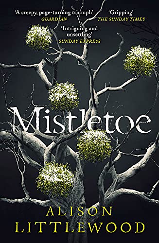 Beispielbild fr Mistletoe: 'The perfect read for frosty nights' HEAT zum Verkauf von WorldofBooks