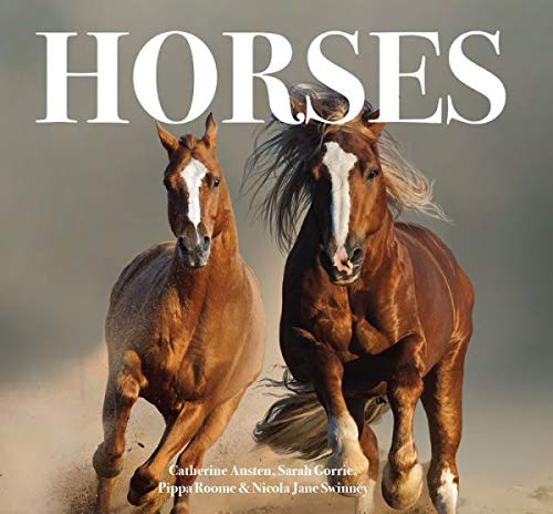 Beispielbild fr Horses zum Verkauf von Wonder Book