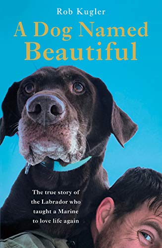 Stock image for A Dog Named Beautiful: The true story of the Labrador who taught a Marine to love life again for sale by medimops