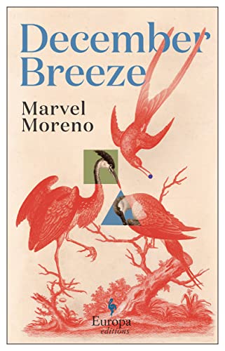Stock image for December Breeze: A masterful novel on womanhood in Colombia for sale by WorldofBooks